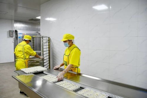 高標準 高收成 肇慶農產品有一套 從農田到市場的品質密碼